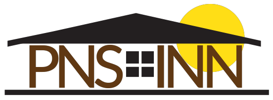 logo-pns